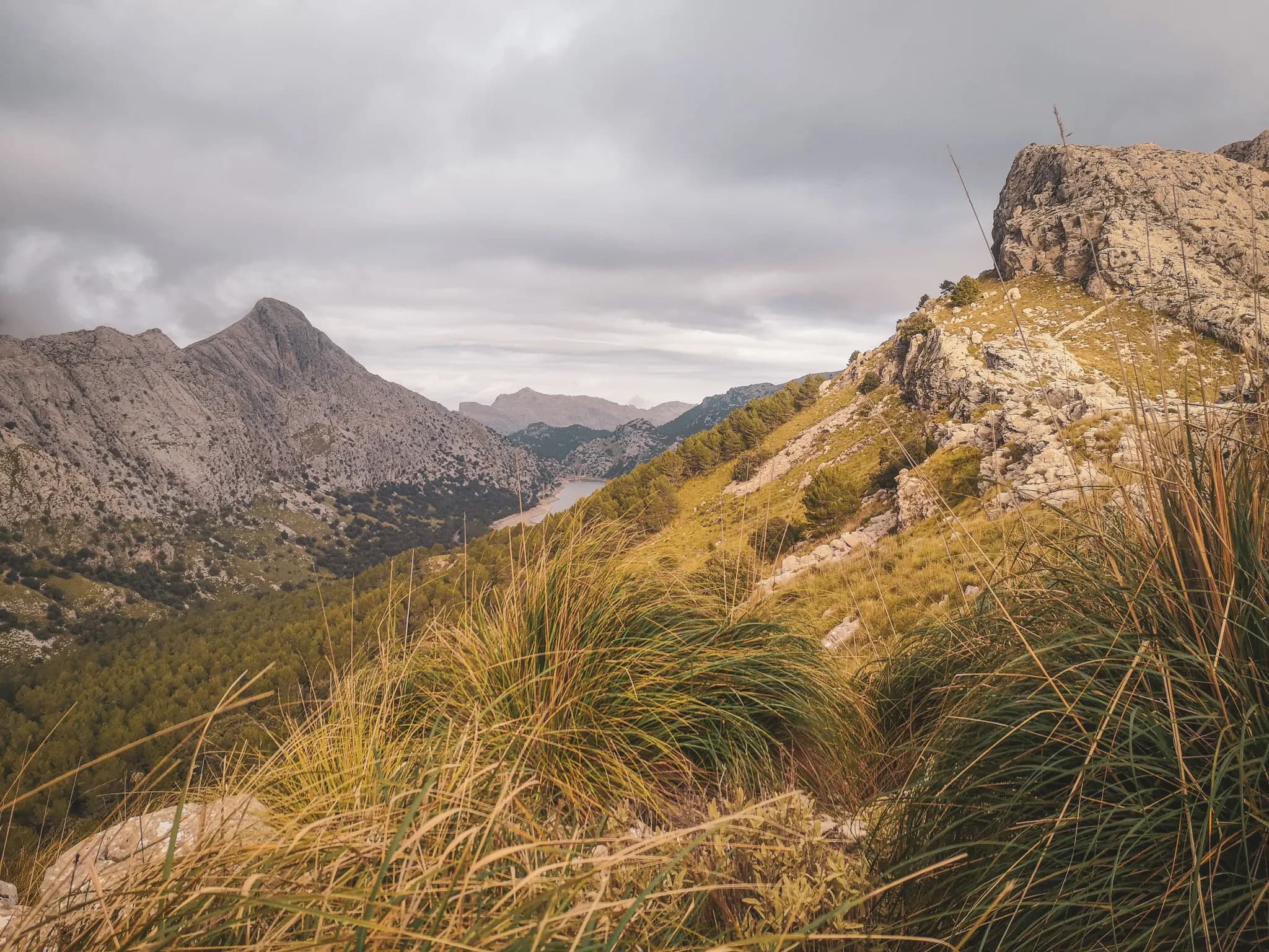 Panoramic views of Majorca's Serra Tramuntana, with its majestic mountains and lush greenery.