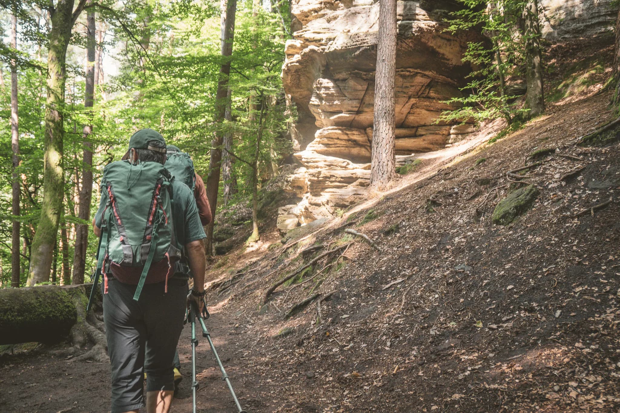 Hikers on an enchanting trail in Luxembourg's Little Switzerland, surrounded by greenery.