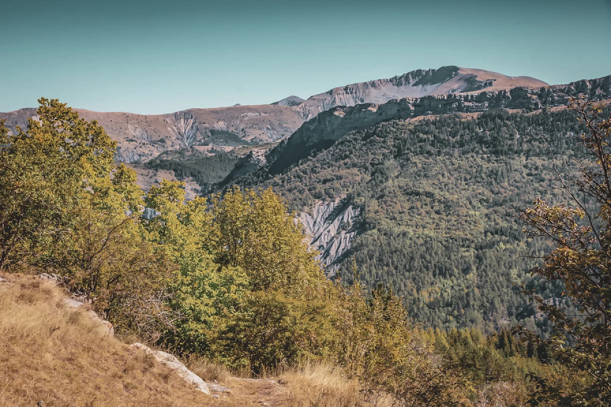 Vaste panorama des montagnes des Écrins, entouré de forêts verdoyantes et de sommets majestueux.