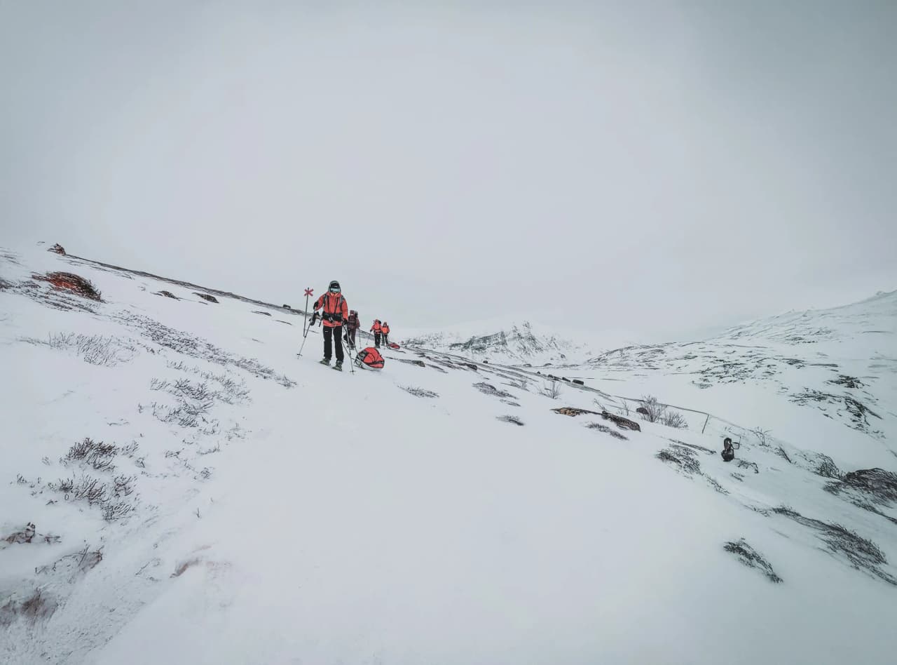 A winter expedition on the Kungsleden, with hikers on snowshoes in a snow-covered landscape.
