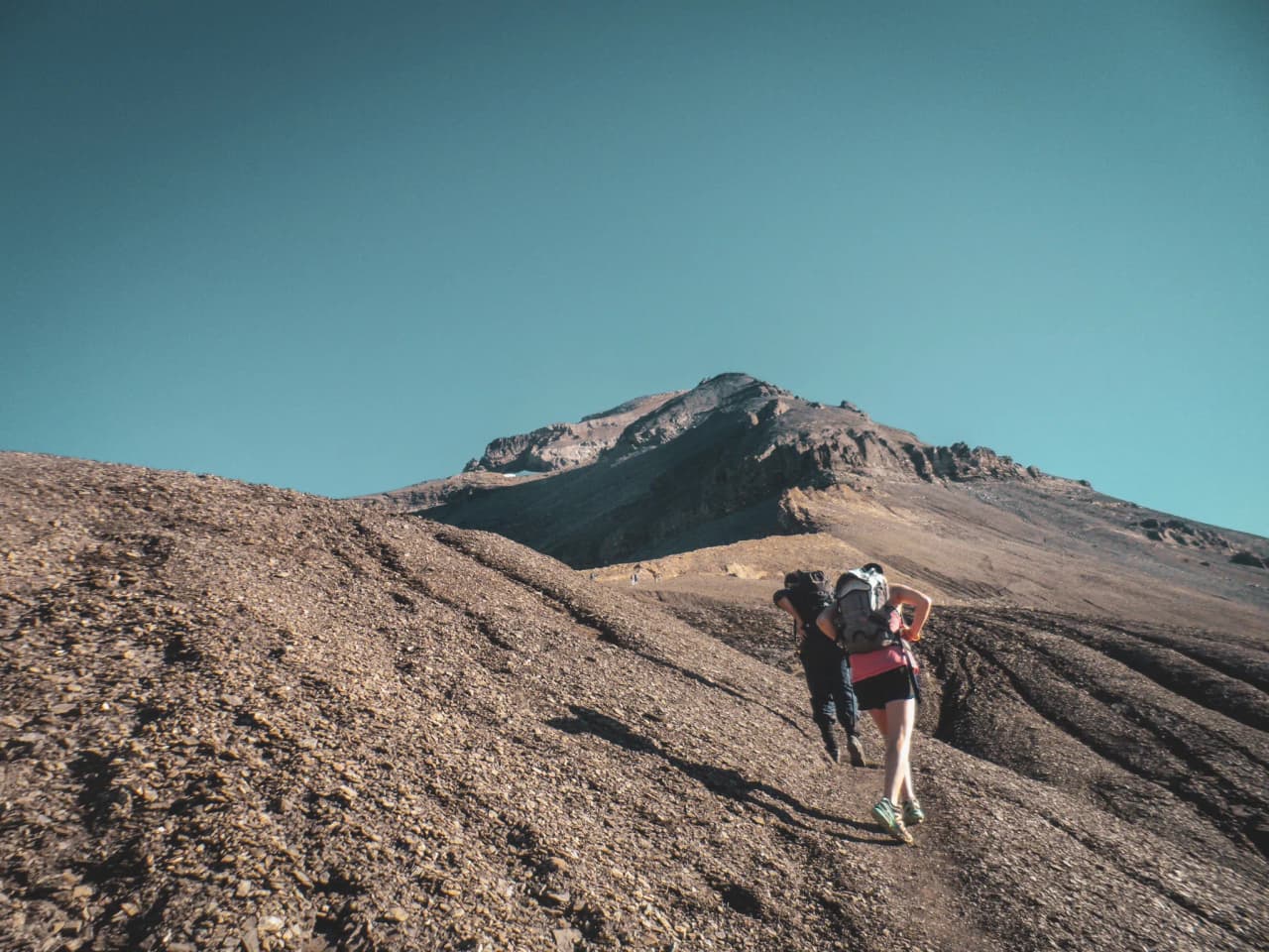 Hikers climbing a stony path under a blue sky, in the heart of the Alps.