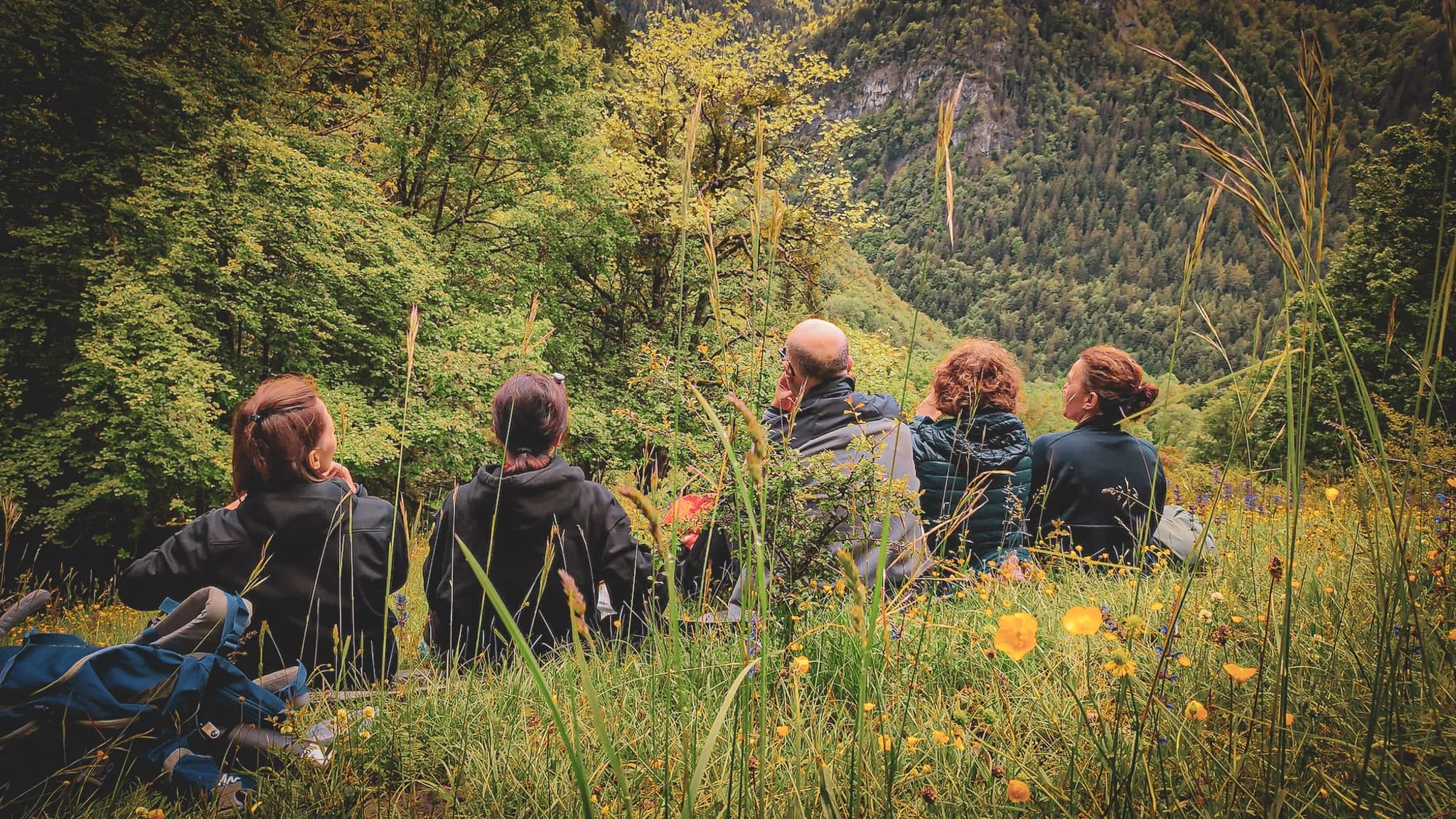 Un groupe de cinq personnes assises sur l'herbe, tournées vers un paysage naturel. Elles sont entourées de fleurs sauvages et d'une verdure luxuriante, avec des arbres en arrière-plan. La lumière est douce, sugg