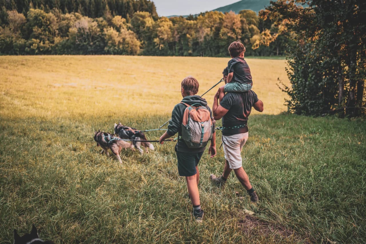 A family in the wilderness walks along a green path, accompanied by sled dogs.