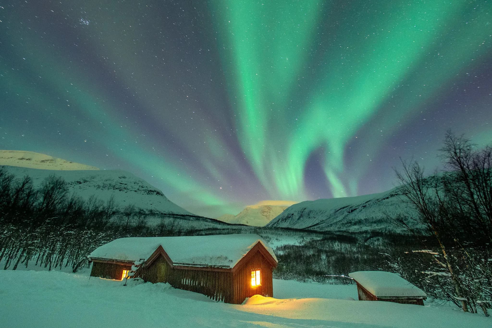 Un paysage enneigé avec des chalets en bois, illuminés par la lueur chaude de leurs fenêtres. Dans le ciel, des aurores boréales dansent en nuances de vert et de violet, créant un spectacle lumineux au