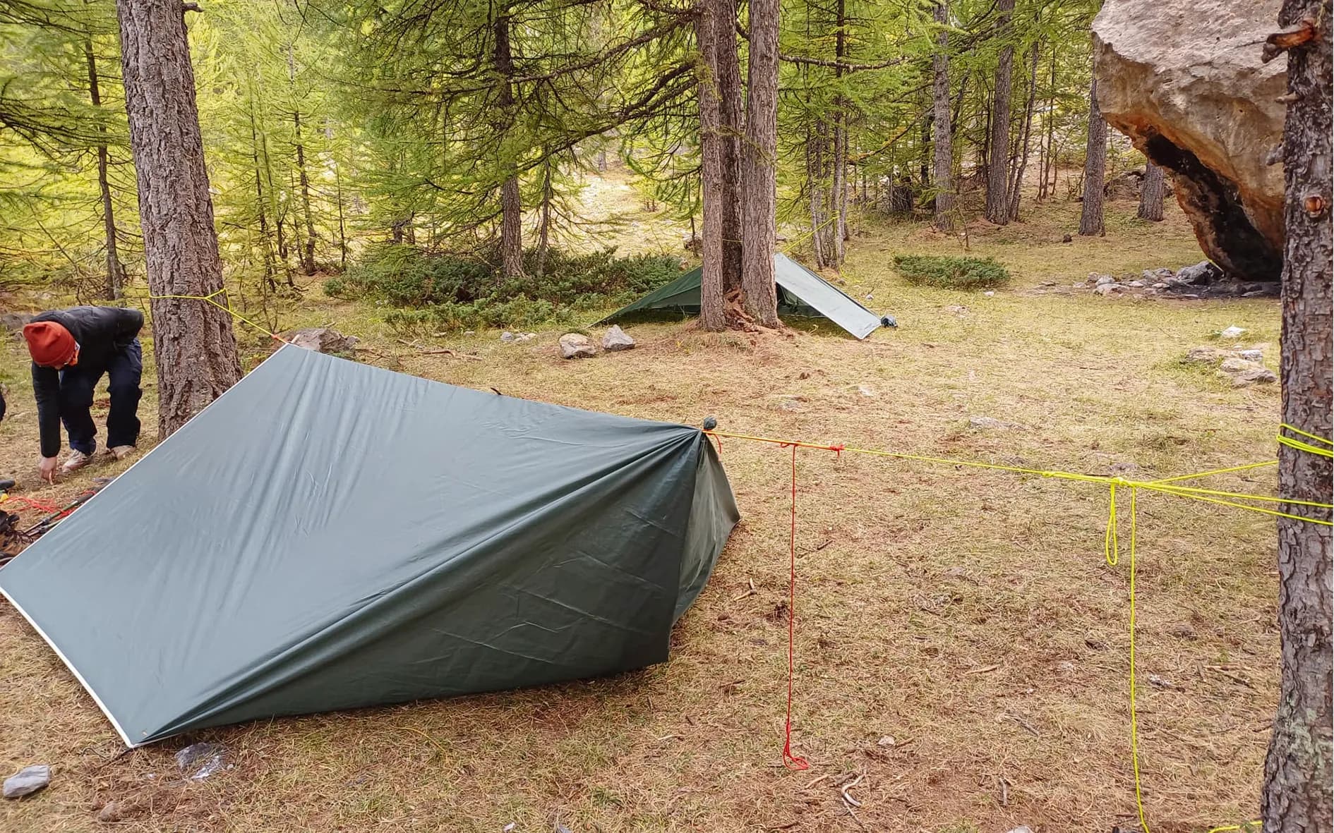 Two green tents set in a peaceful forest, surrounded by nature, an invitation to adventure.