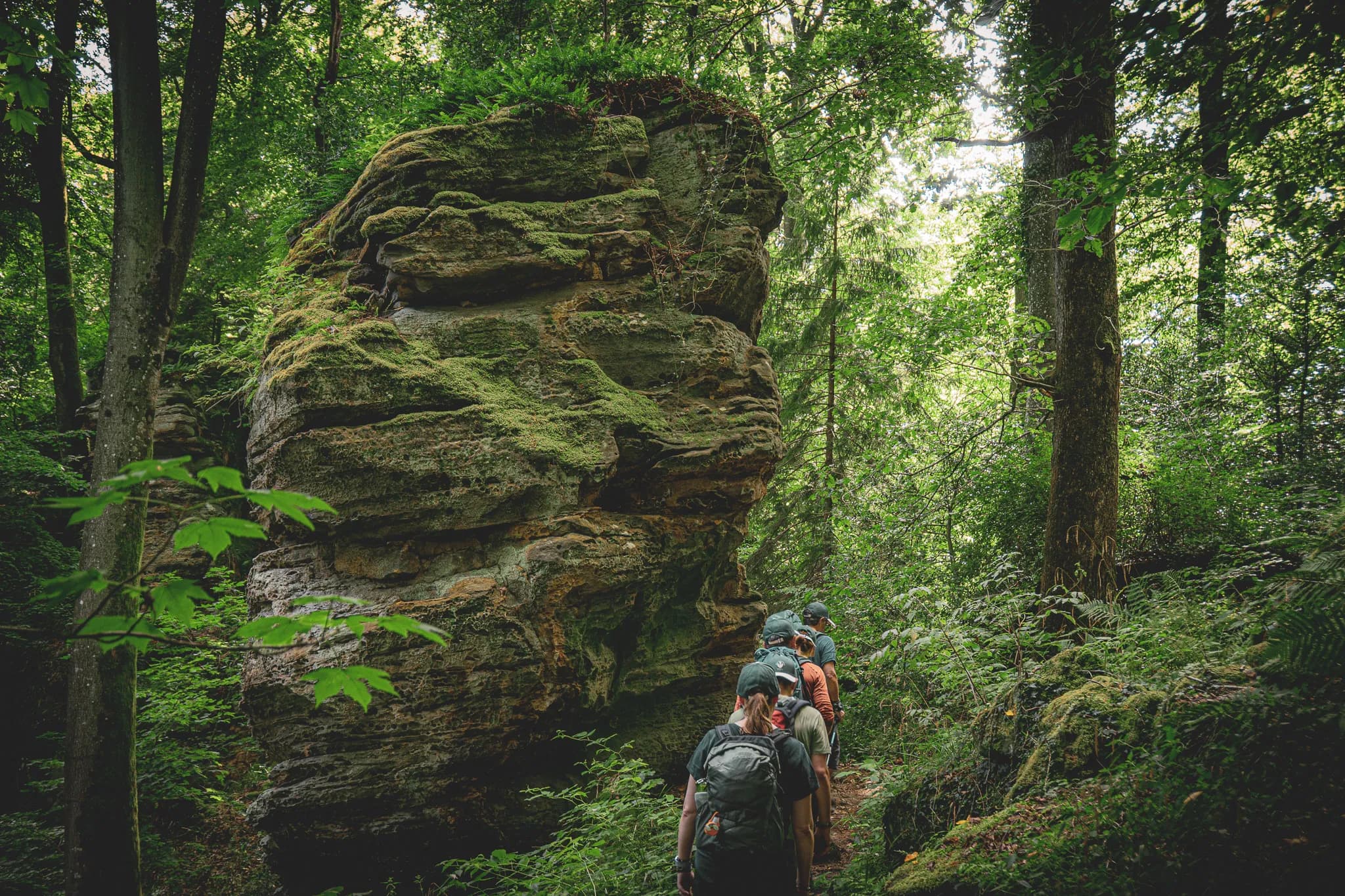 Wandelen in Luxemburgs Klein Zwitserland, tussen majestueuze rotsen en weelderige groene bossen.