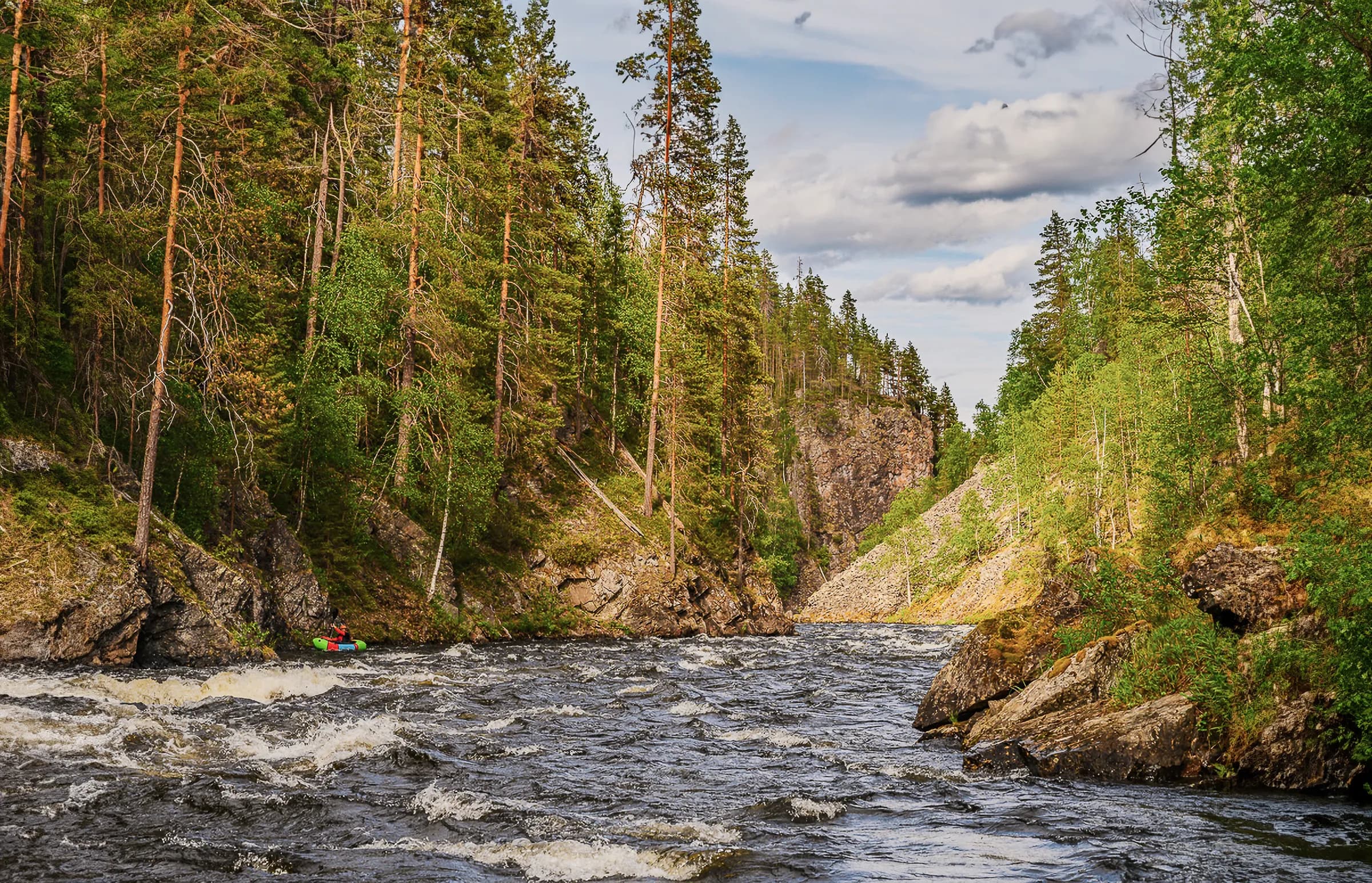 A tumultuous stream winds its way through rocky hills covered in dense forests. Pines and deciduous trees form a verdant landscape, while rocks emerge from the winding slopes of the