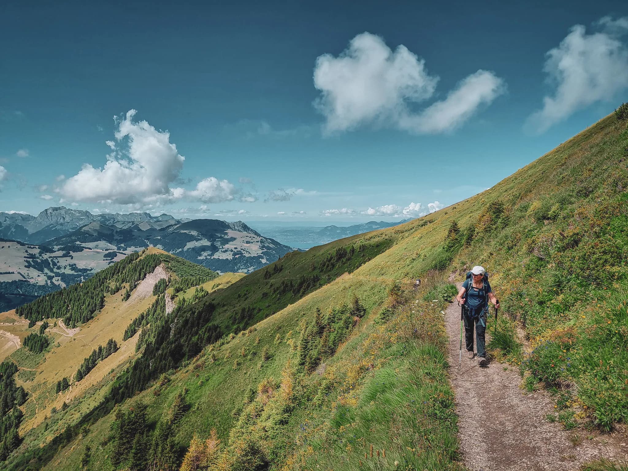 A spectacular mountain landscape with snow-capped peaks in the background, surrounded by lush green valleys. In the foreground, a carpet of white flowers in full bloom stands out, creating a vibrant contrast against the shades of green.