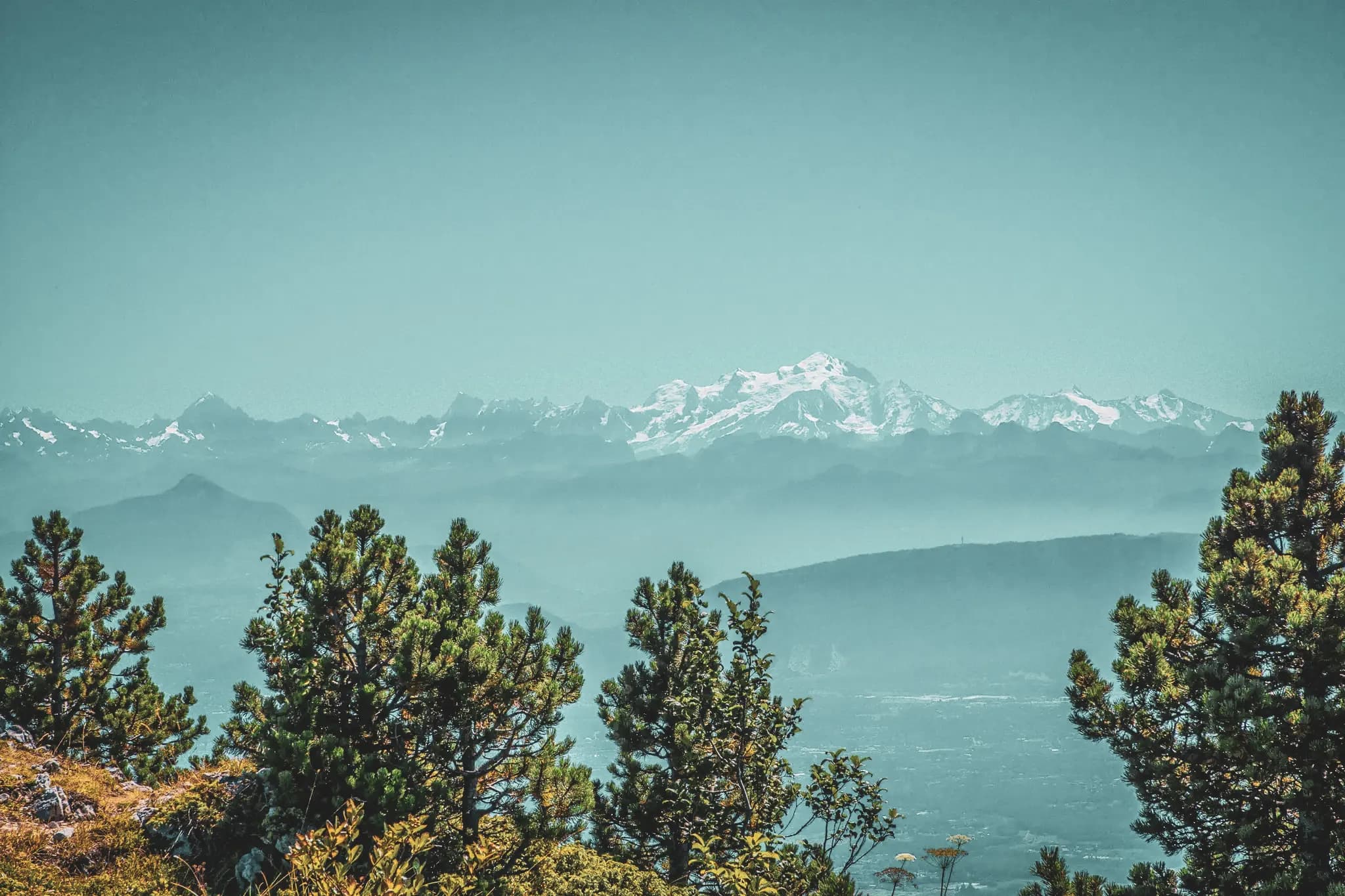 Vastes crêtes du Haut-Jura, avec des sommets enneigés se découvrant à l'horizon.