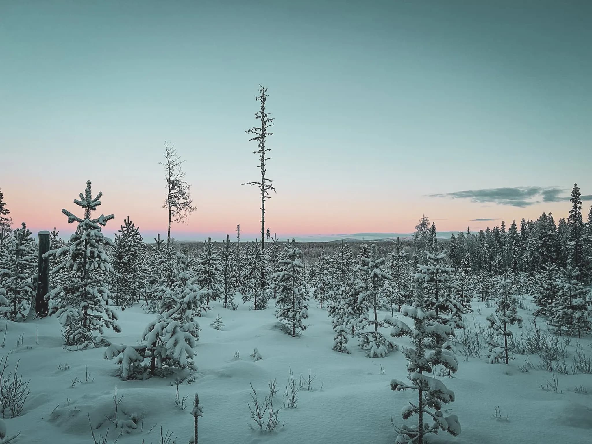 Sterrenhemels en het noorderlicht verlichten een betoverende hut in Lapland.