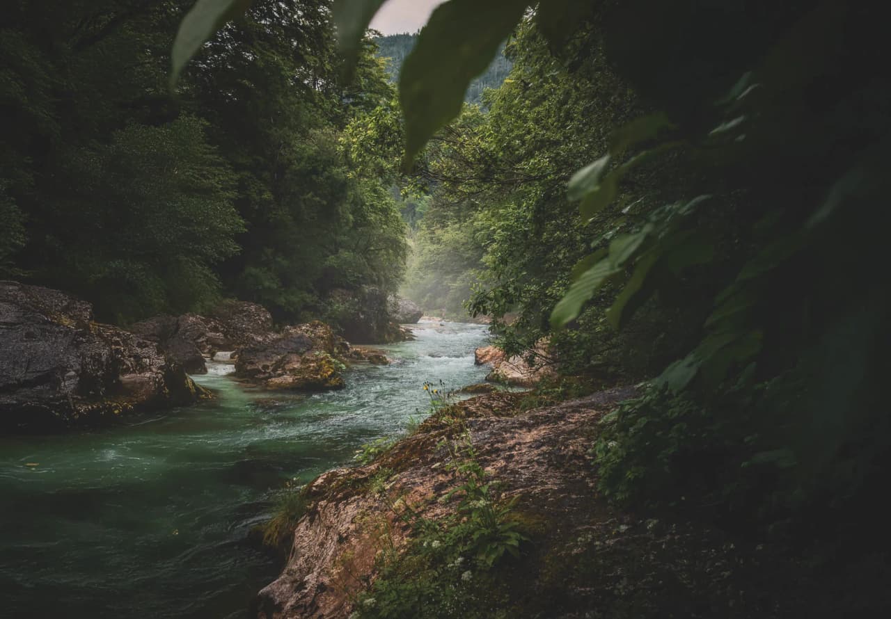 A stream meanders peacefully through a verdant valley, lined with rocks and lush vegetation. The deep turquoise waters of the stream reflect the soft sunlight that streams through the valley.