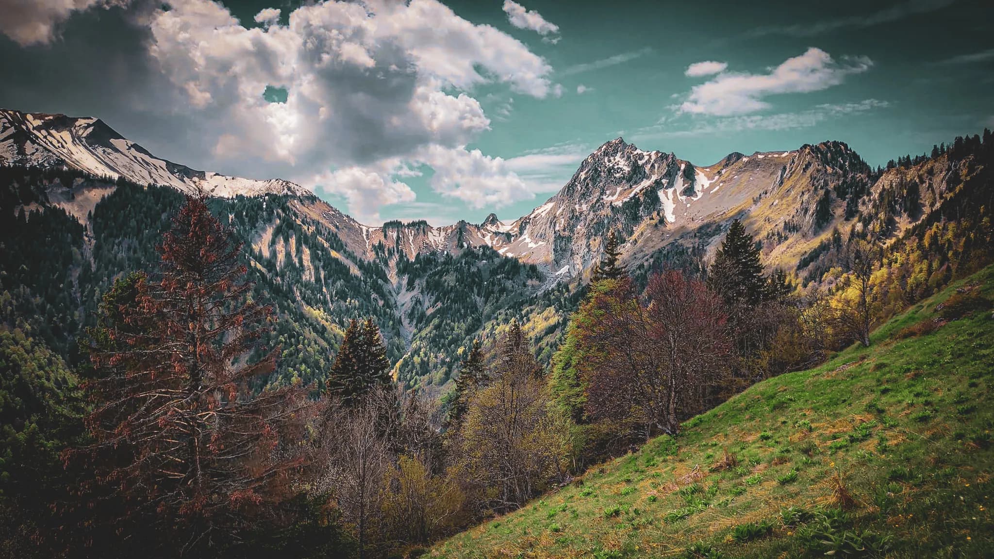 Un paysage de montagne majestueux, avec des sommets enneigés, entouré de forêts verdoyantes et de collines. Au premier plan, des arbres aux feuillages variés, indiquant des teintes de printemps, se