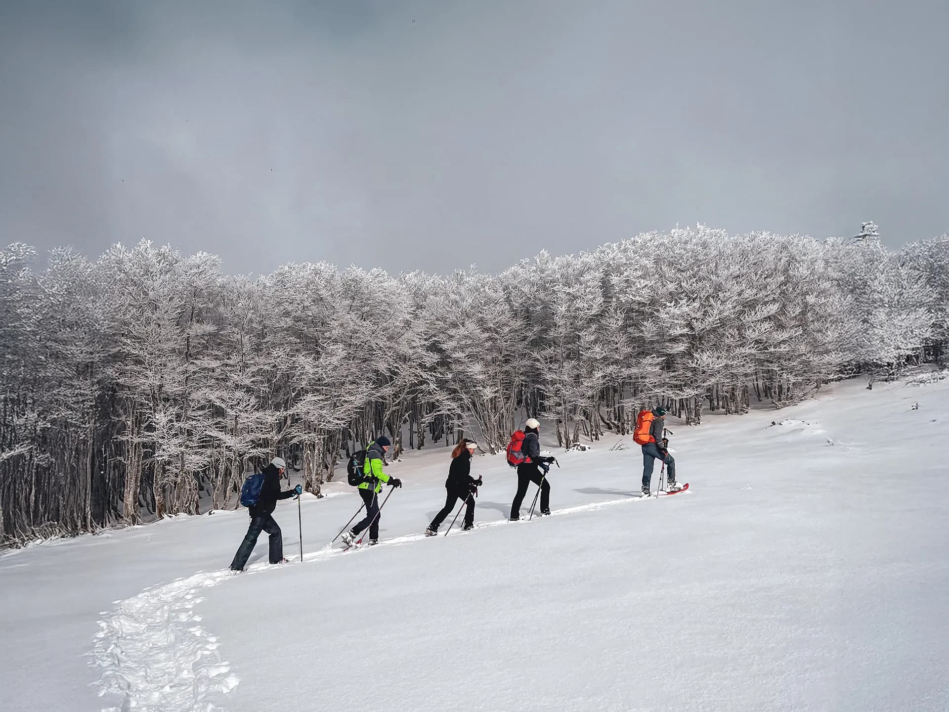 Groep sneeuwschoenwandelaars in de sneeuw, met een berglandschap op de achtergrond.
