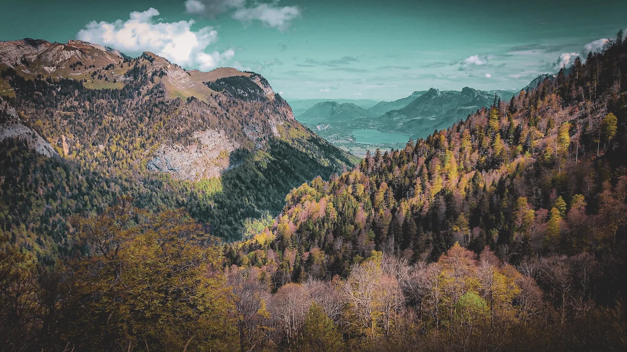 Un paysage montagneux aux couleurs automnales se déploie devant un ciel légèrement nuageux. Les pentes sont recouvertes d'une variété d'arbres, allant des conifères aux feuillus, dont les feuilles chang