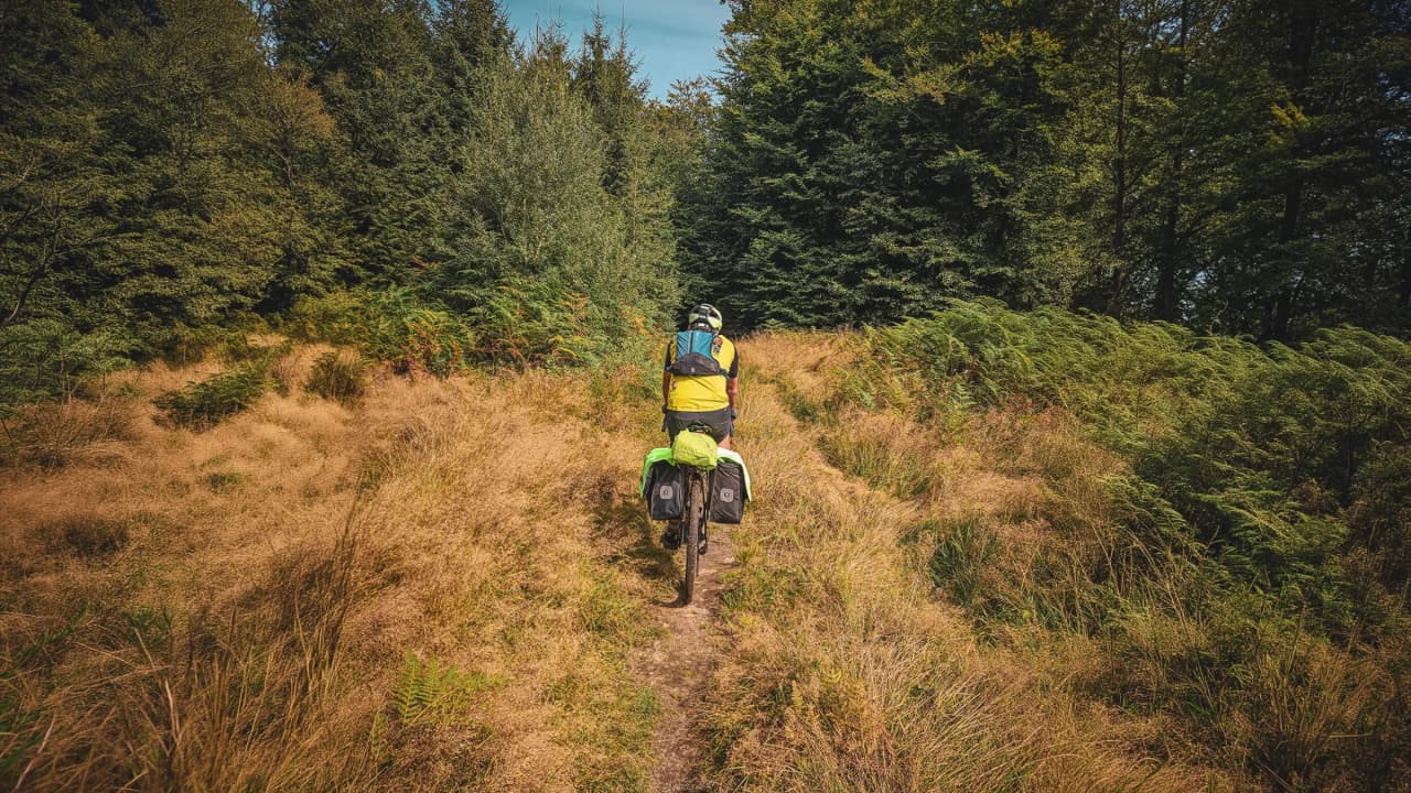 Cycling along a forest path, surrounded by the lush greenery of the Ardennes.