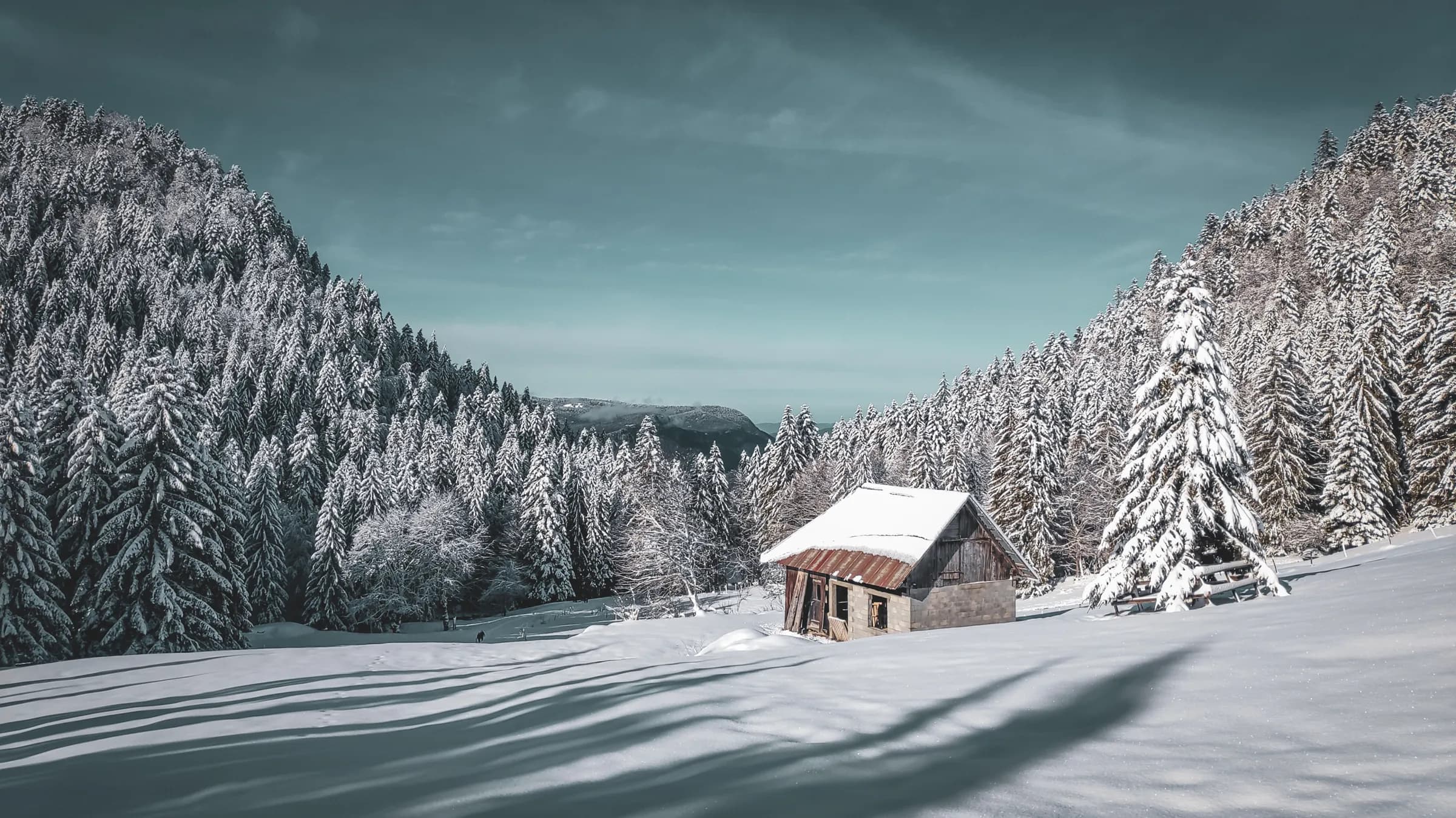Un chalet en bois entouré de sapins enneigés, sous un ciel azur, invitant à l'évasion alpine.