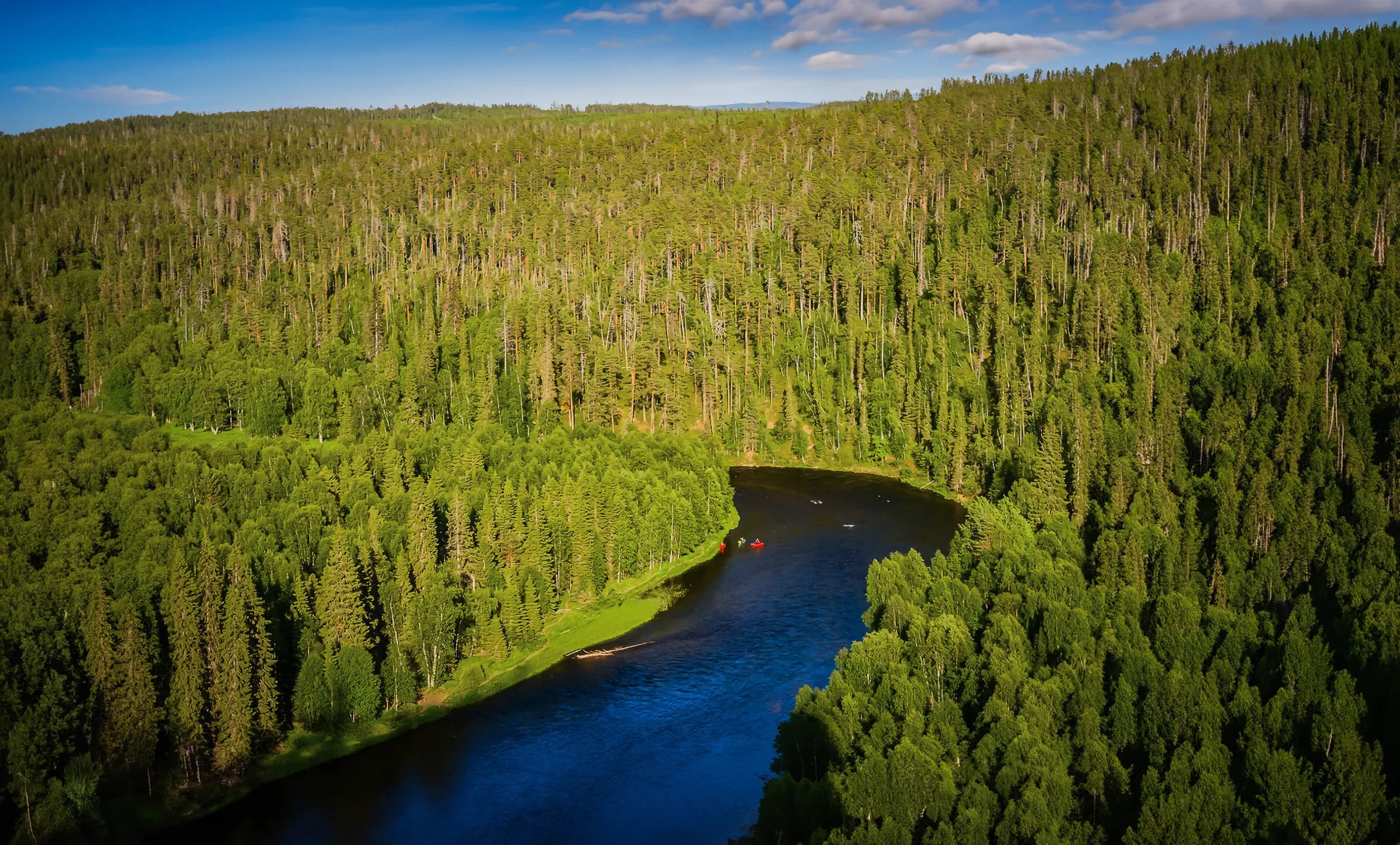 A vast, lush forest landscape, with a river winding through the greenery. The trees are dense and varied, creating a blanket of bright green foliage. The river is a deep blue,