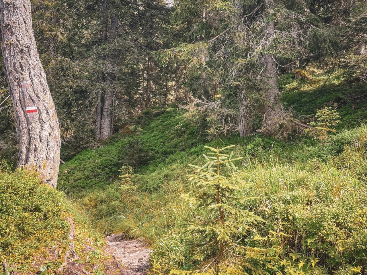 Countryside trail in the Italian Dolomites