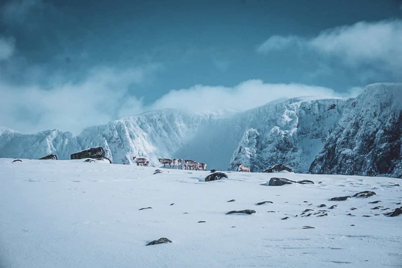 Rennes slingert door een besneeuwd landschap, majestueuze bergen onder een strakblauwe hemel.