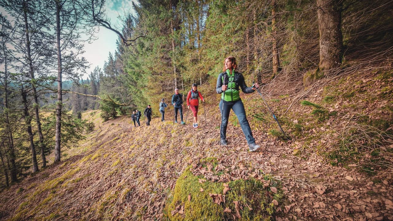 A group of hikers in the heart of nature, making their way along a path bordered by lush green forests.