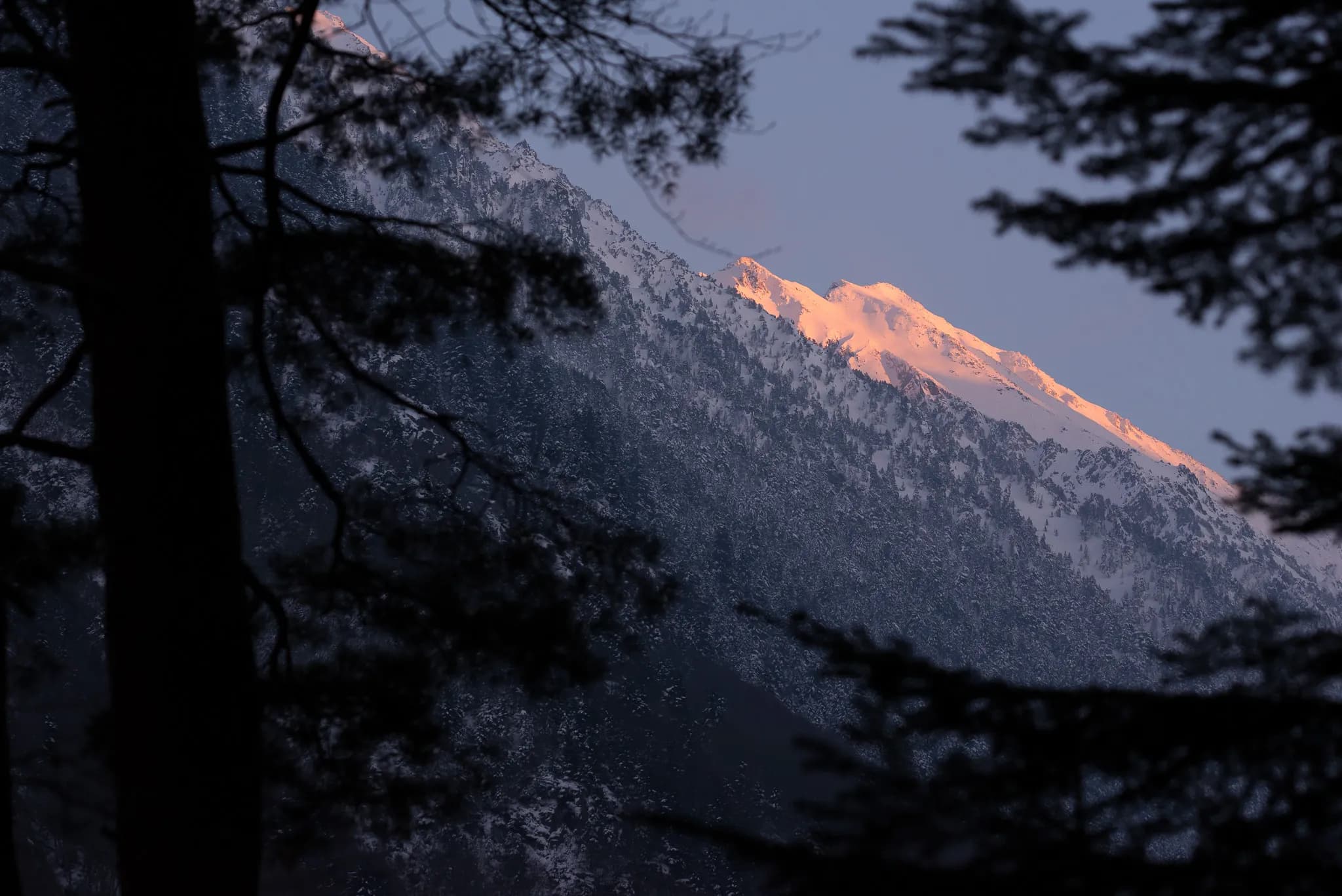 Snow-capped mountains illuminated by the setting sun, surrounded by dark forests.