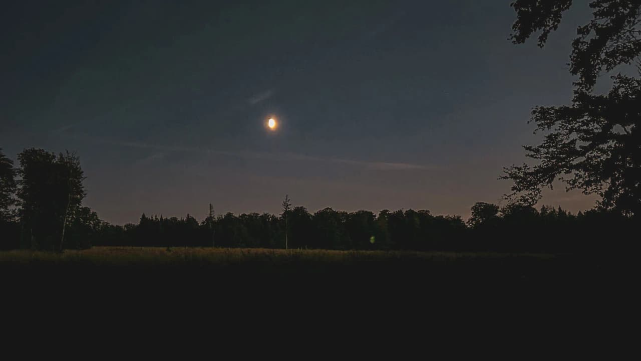 Une nuit étoilée en Ardenne, pleine lune éclairant la forêt paisible de Saint Hubert.
