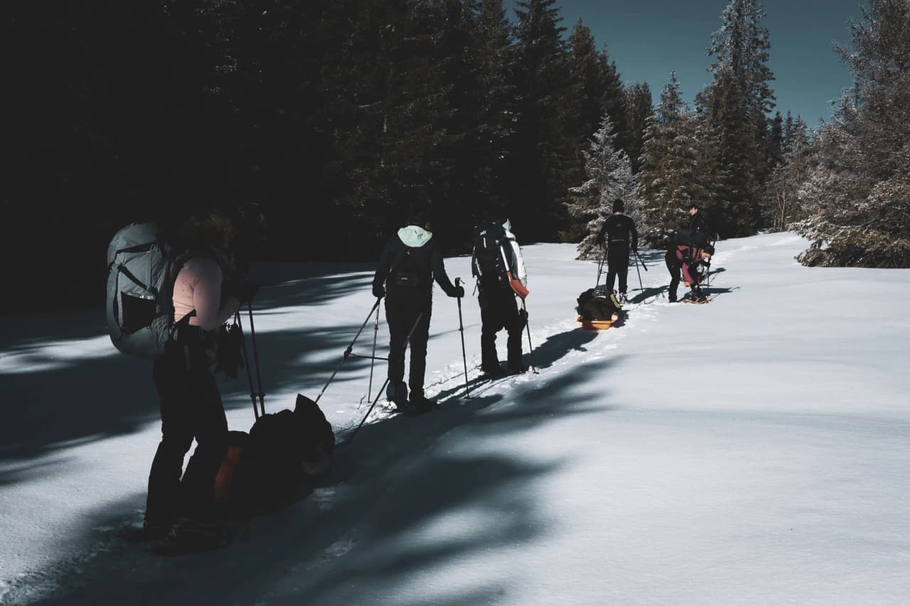 Groupe d'aventuriers en raquettes au cœur des forêts enneigées du Jura, paysage paisible et sauvage.