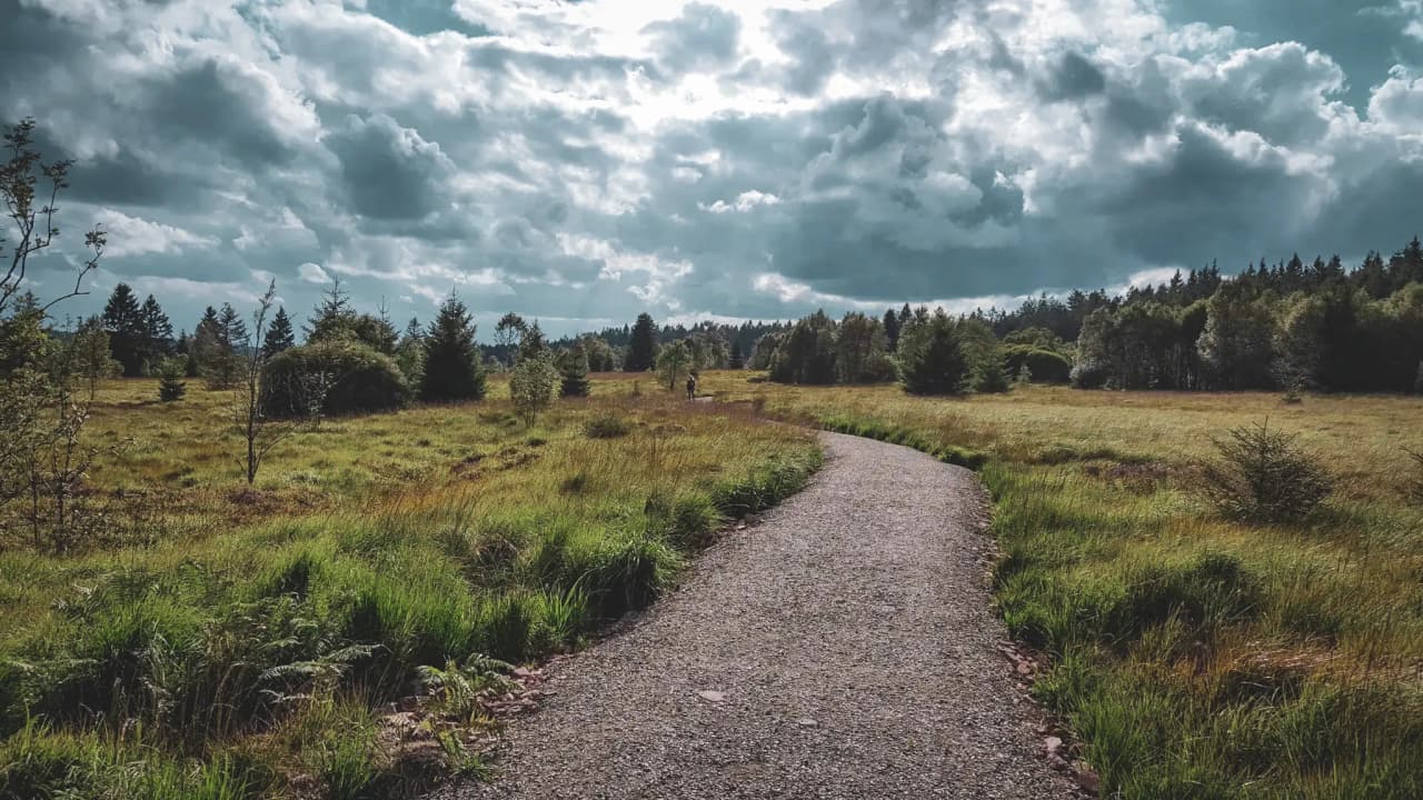 Un sentier sinueux à travers une prairie verdoyante, sous un ciel nuageux. Évasion nature assurée.