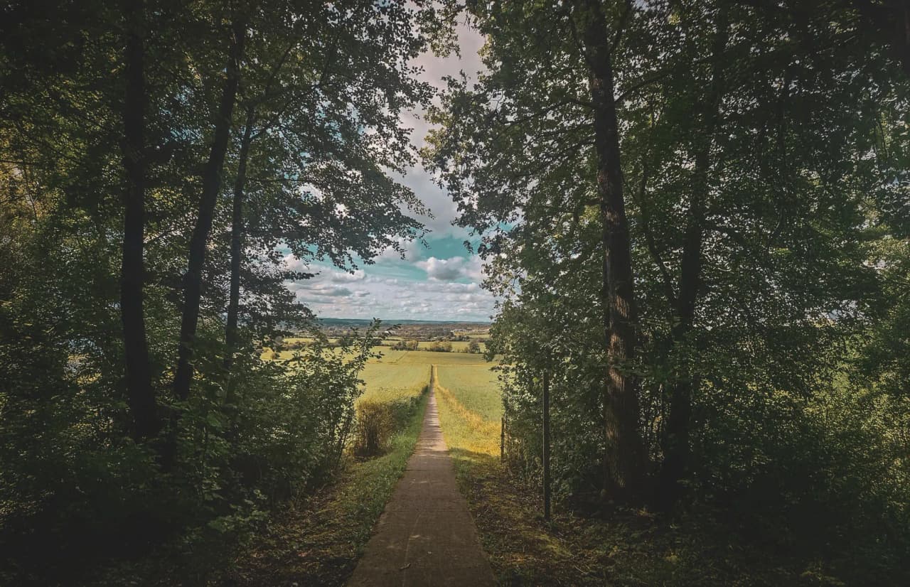Un sentier de béton serpentant entre les arbres, menant à des champs verdoyants sous un ciel bleu.