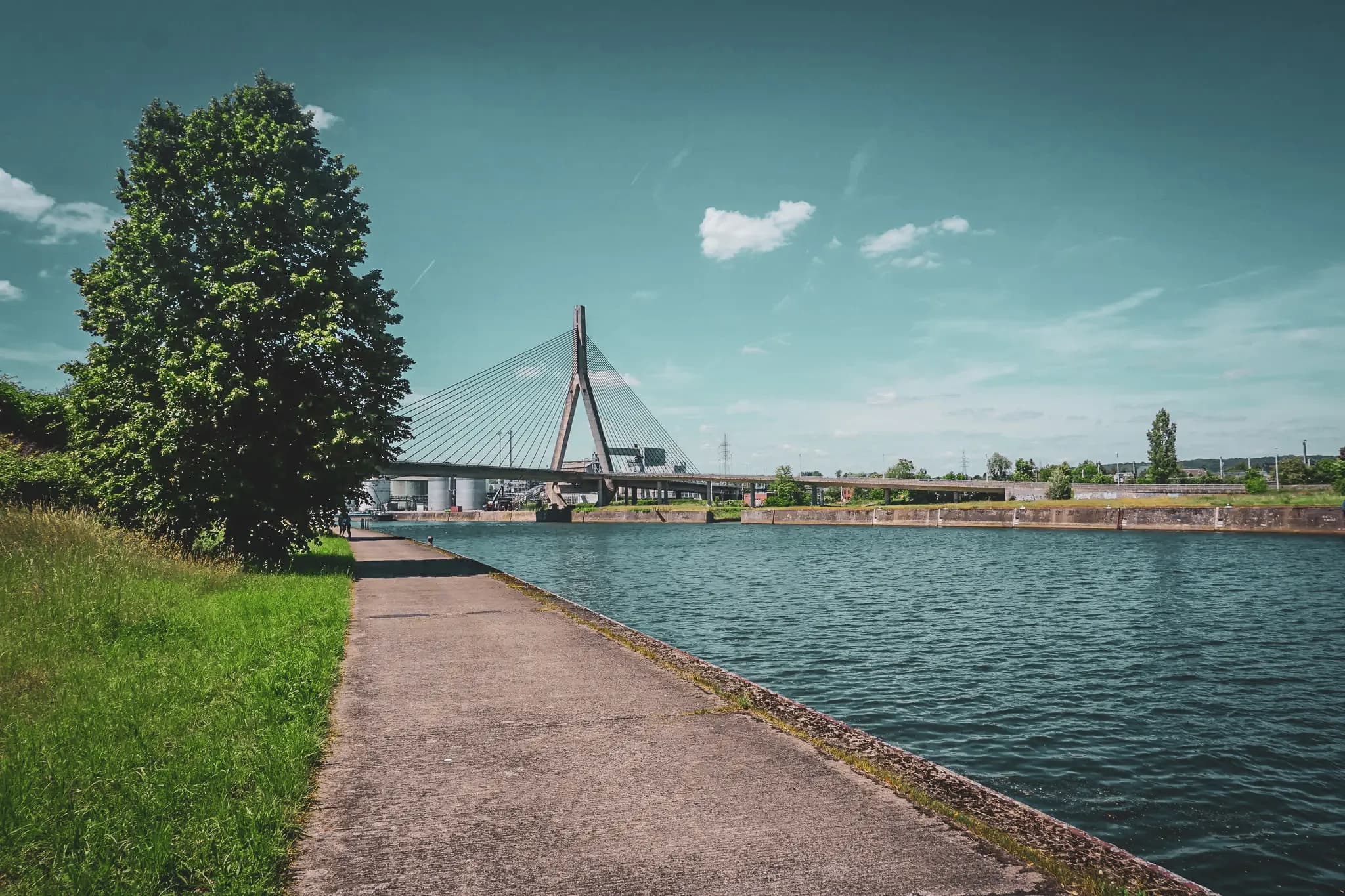 A concrete path runs alongside a calm stretch of water, bordered by green grass. On the left, a leafy tree stands out, contrasting with the blue sky dotted with clouds. In the background, a