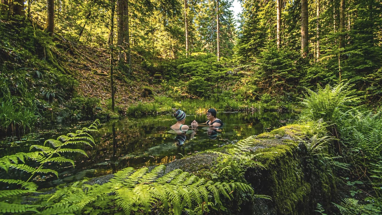 Two people relax in clear water surrounded by greenery, in the heart of a peaceful forest.