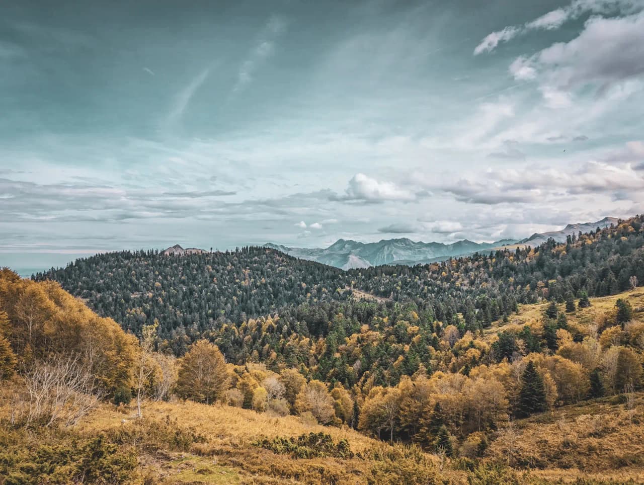 Paysage pittoresque des Pyrénées, entre vallées verdoyantes et sommets majestueux sous un ciel nuageux.