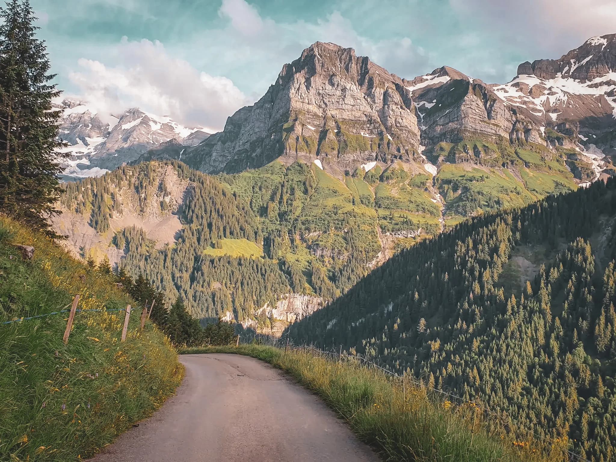 A winding road cuts through an impressive mountain landscape. To the left, a green slope is dotted with wildflowers, while conifers stand along the edge of the road. To the right, a