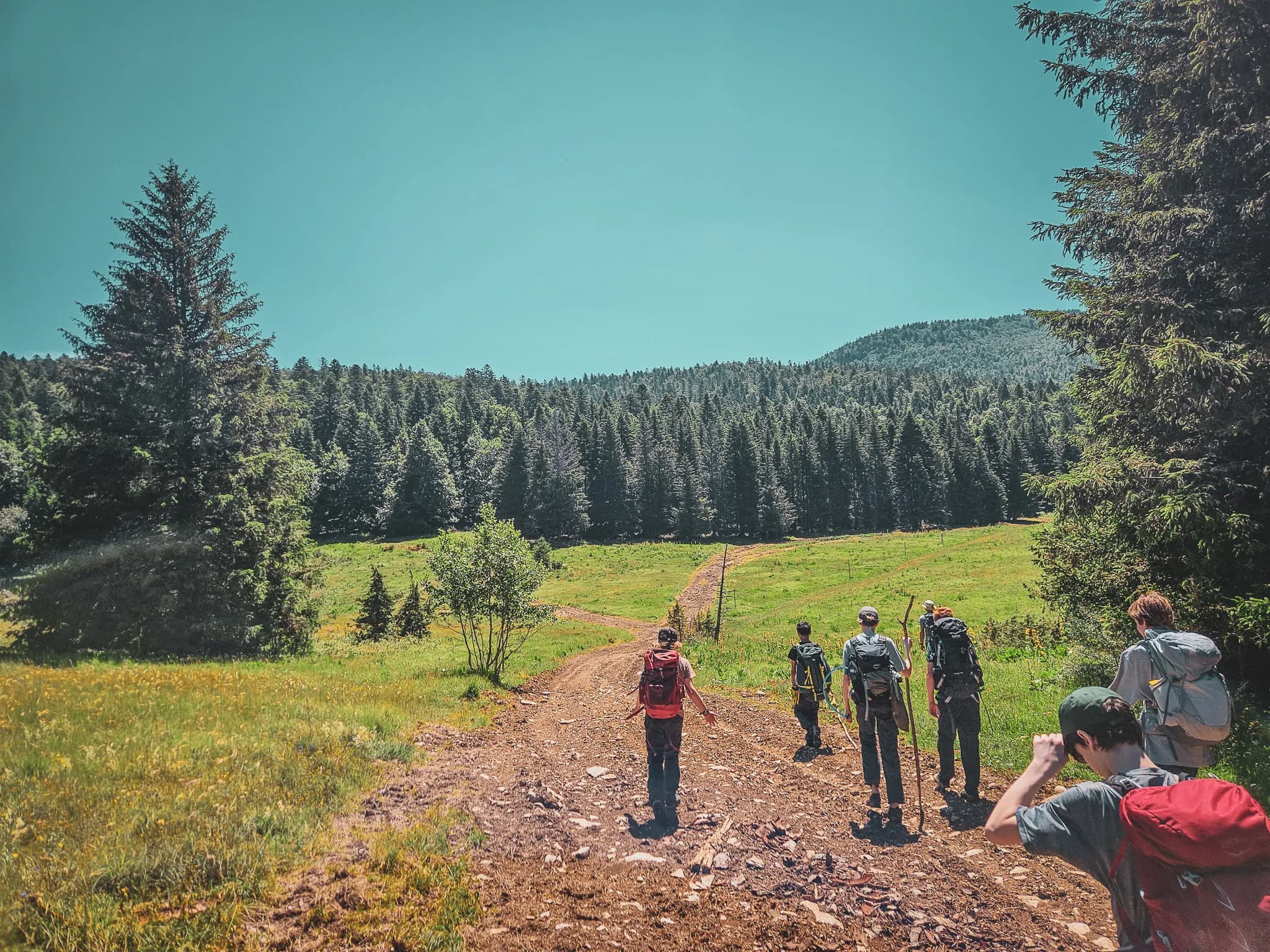 A group of hikers are walking along a dirt track, surrounded by lush green countryside. Dense trees stand on either side, while a clear blue sky stretches above. The group