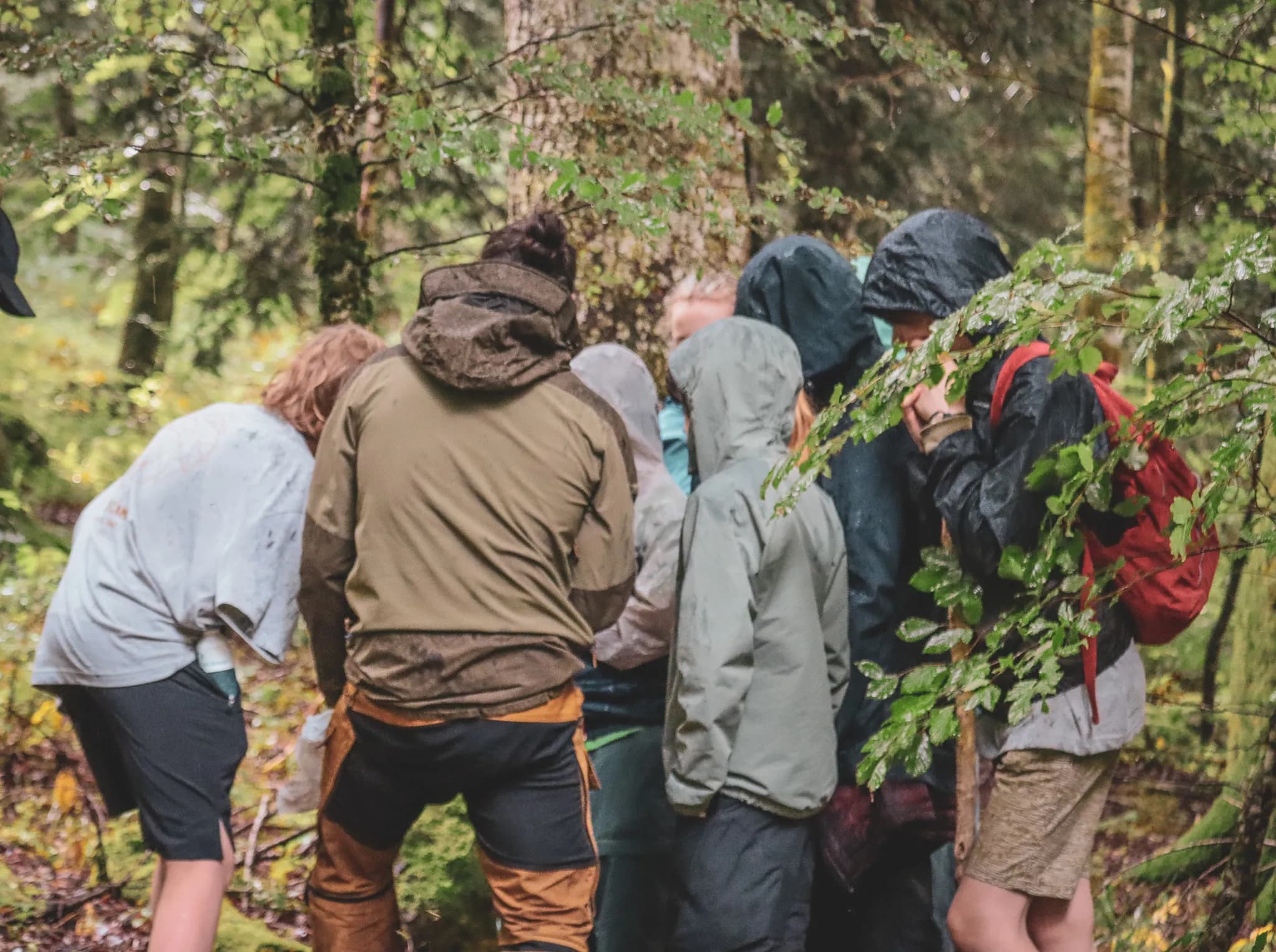 A group of people huddle together in a forest, protected by waterproof clothing, seemingly attentive to something on the ground. The forest is dense, with green trees and lush foliage.