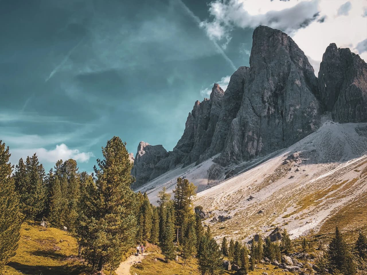 A winding path surrounded by fir trees, leading to impressive peaks in the Dolomites.