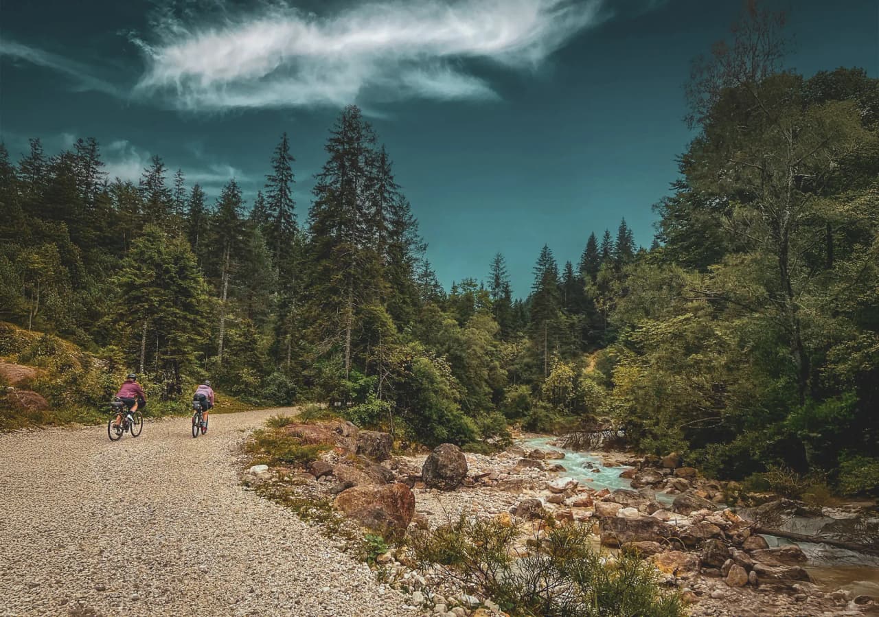 A gravel path winds through a dense forest, with tall conifers dominating the landscape. On this path, two cyclists are pedalling, each wearing a purple jersey. To the right, a