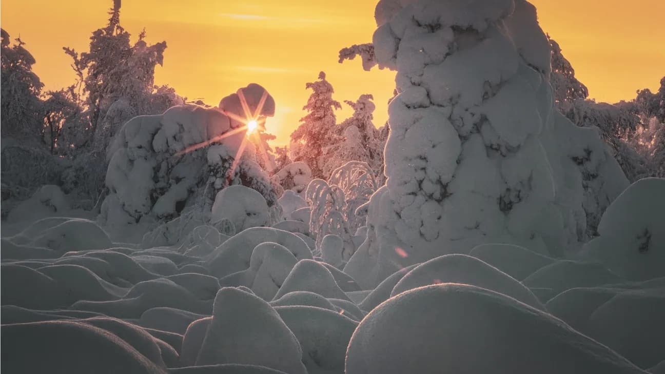 Paysage enneigé en Laponie, arbres recouverts de neige, soleil couchant éclatant à l'horizon.