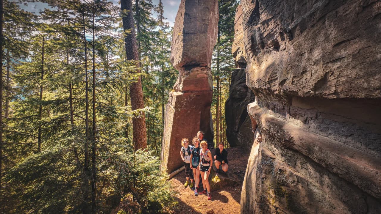 A group of hikers posing in front of imposing rocks in the heart of a lush forest.