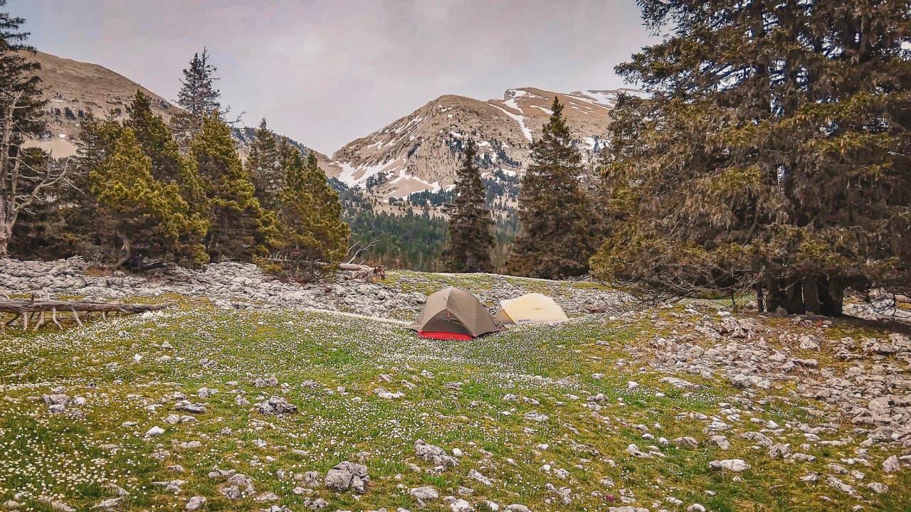 Tents set in green grounds, surrounded by pine trees, with mountains in the background.
