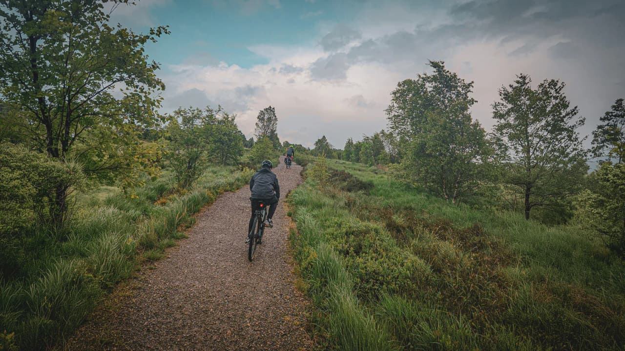 Fietsers verkennen een groen pad onder een bewolkte hemel in de Hoge Venen.
