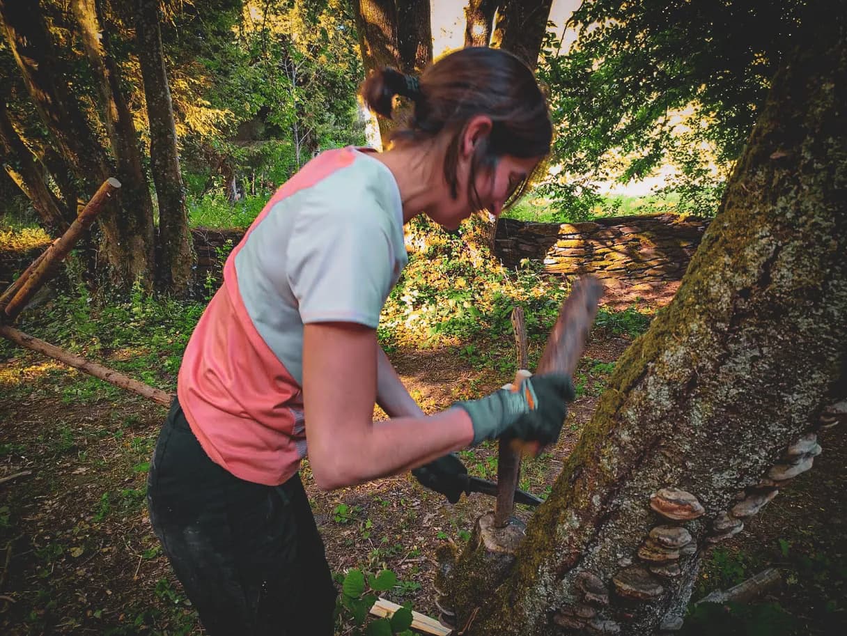 Eén persoon leert te overleven in het bos, houtsnijwerk in een prachtige Ardense omgeving.