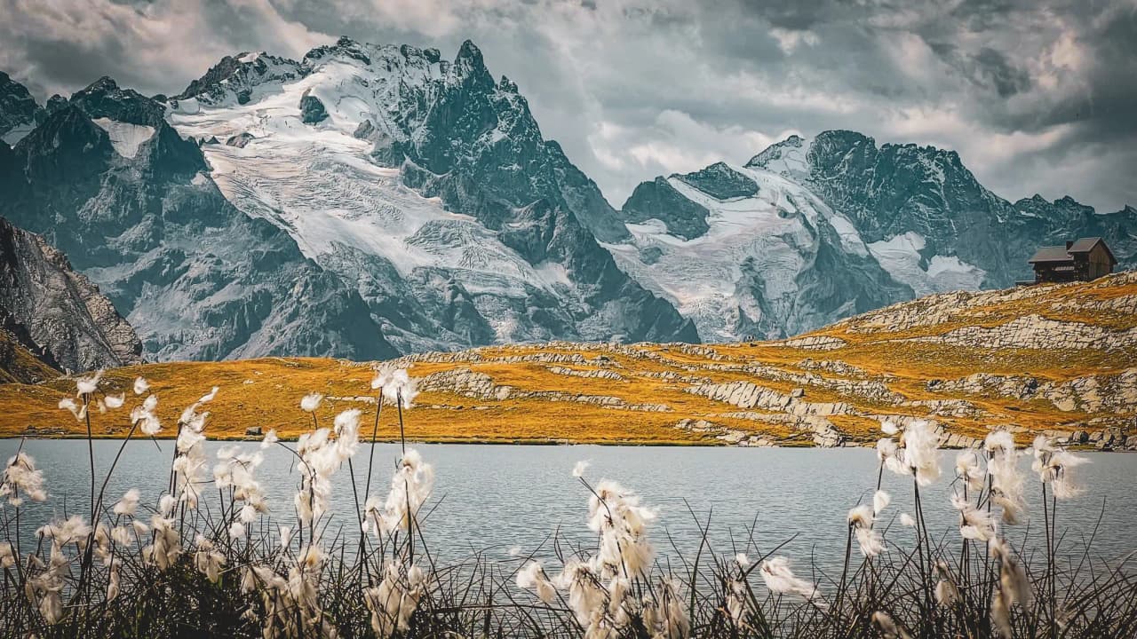 Panorama alpin avec des sommets majestueux, lac turquoise et fleurs délicates au premier plan.