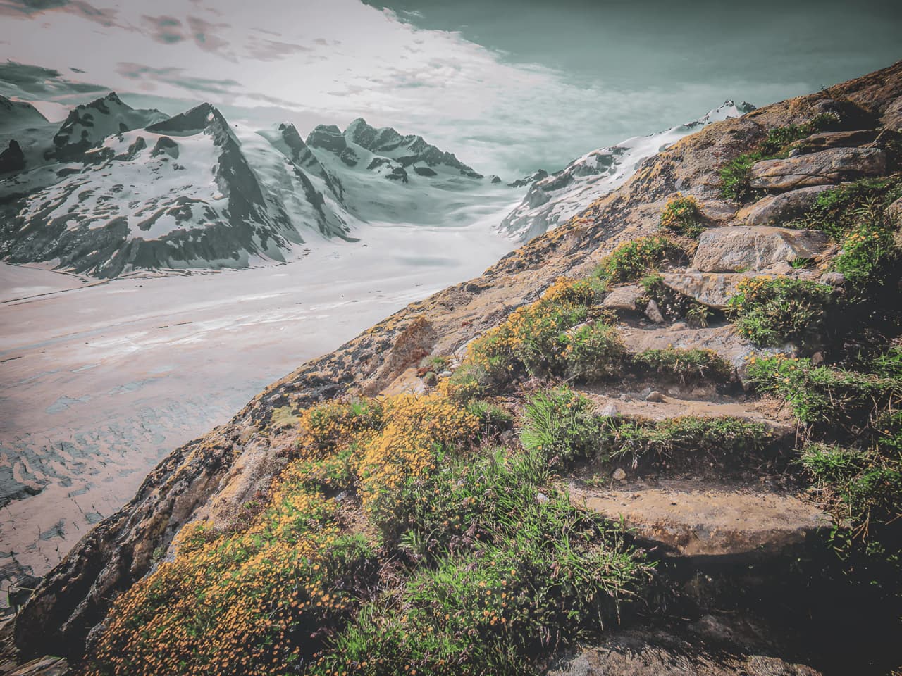 A flower-filled stone path overlooking the Aletsch glacier and majestic Alpine peaks.