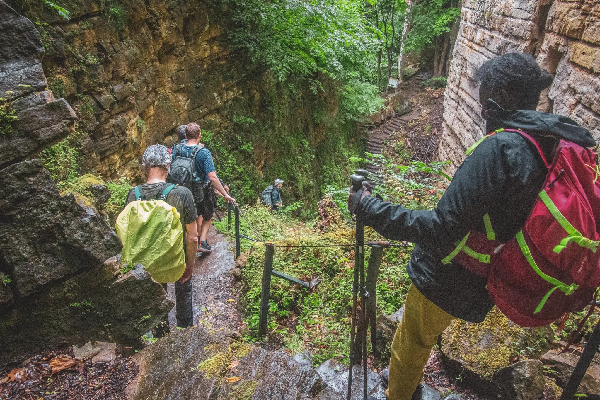 Groups of hikers descend an enchanting path, surrounded by rocks and lush greenery.