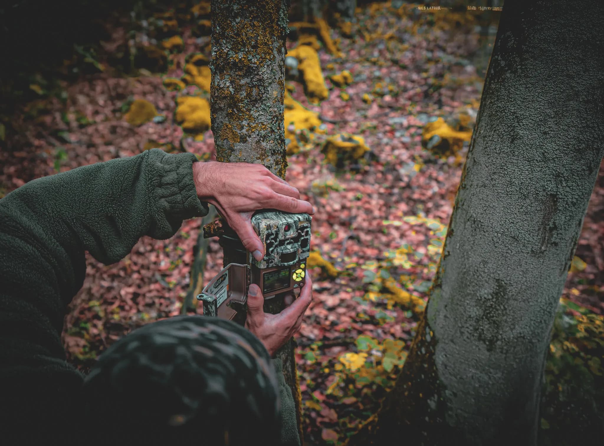 A naturalist sets up a camera in the colourful forest of the Vercors, revealing the wilderness.