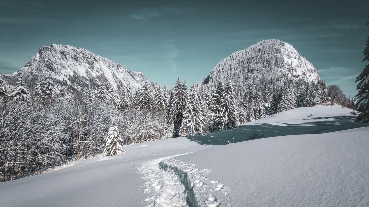 Un paysage alpine enneigé, avec des arbres couverts de neige et des sommets majestueux.