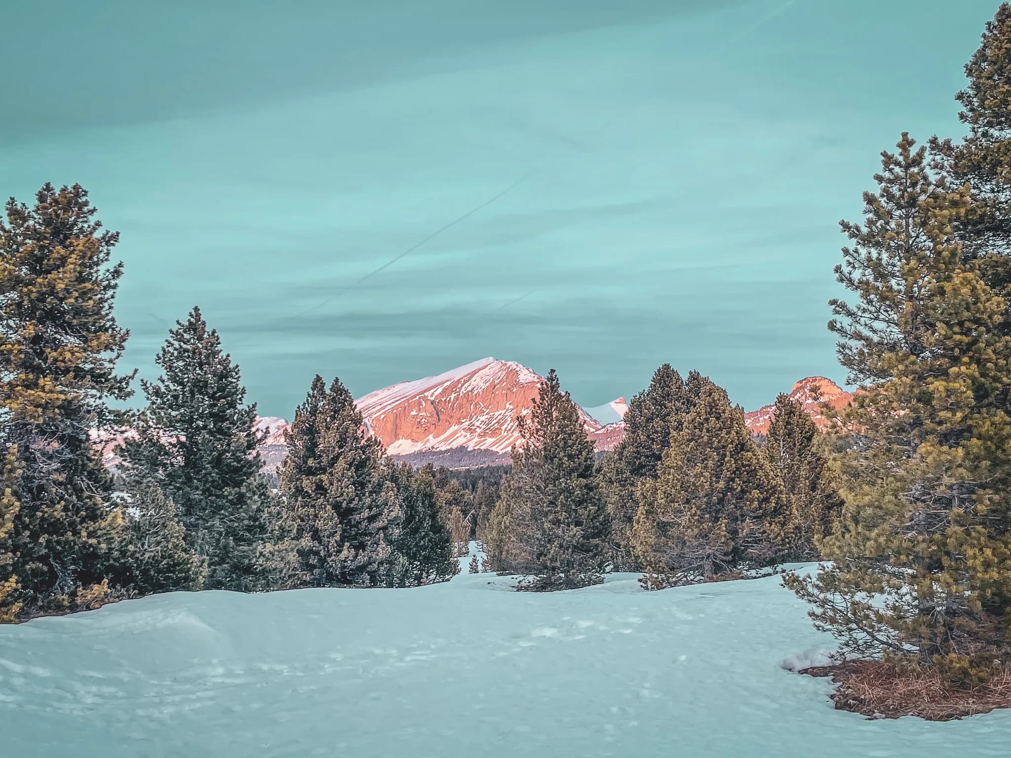 A mountain landscape at dusk, with snow-capped peaks towering majestically in the background. In the foreground, a stretch of immaculate snow is bordered by flooded conifers.