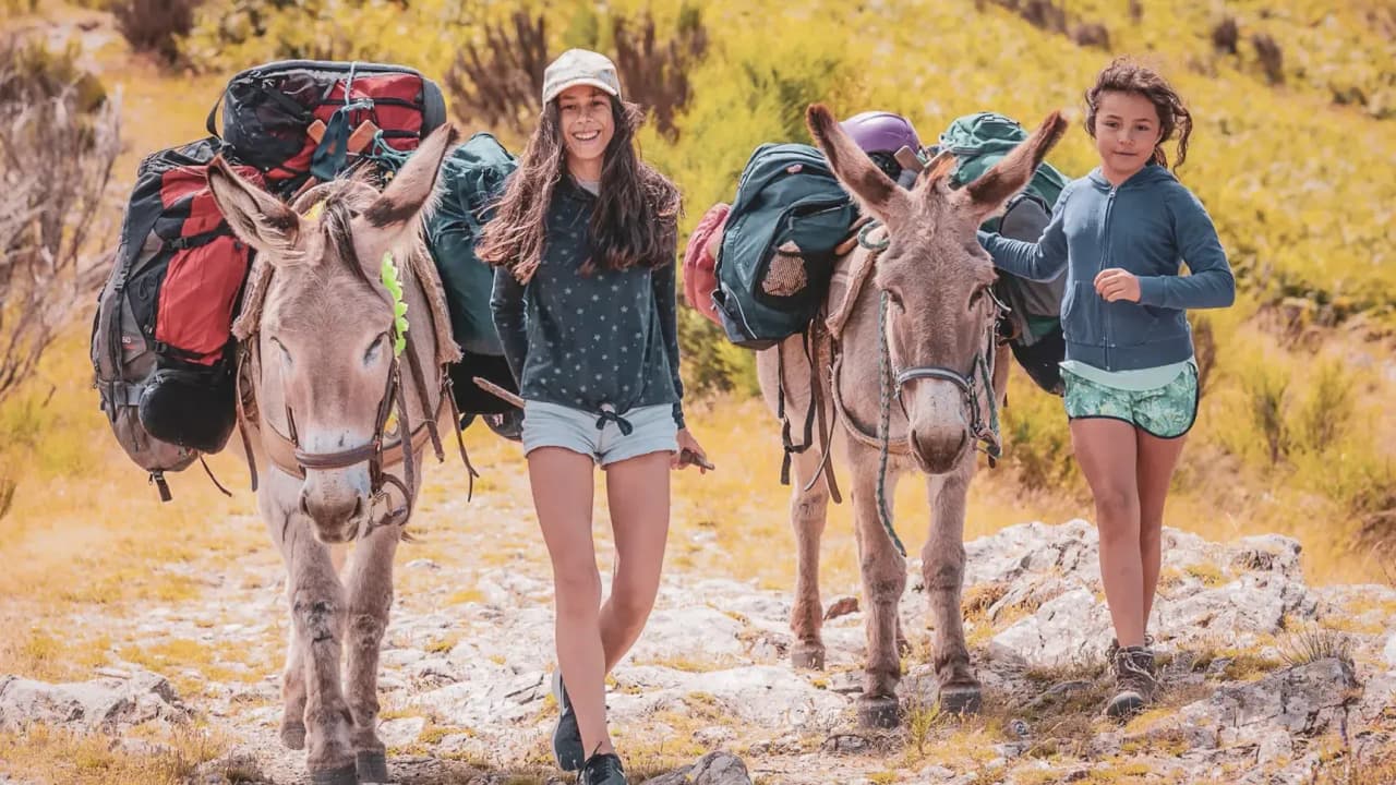Two hikers and their loaded donkeys, walking along a sunny path in the Cévennes.
