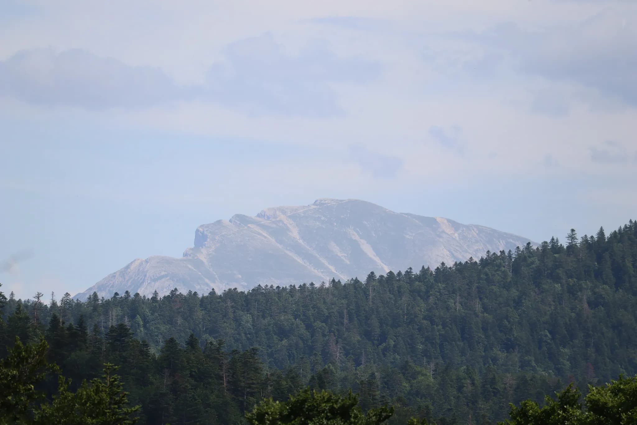 A mountain peak rises majestically, partially hidden by light clouds. Below, a vast coniferous forest occupies the foreground, offering a contrast of greenery with the rocky hues.